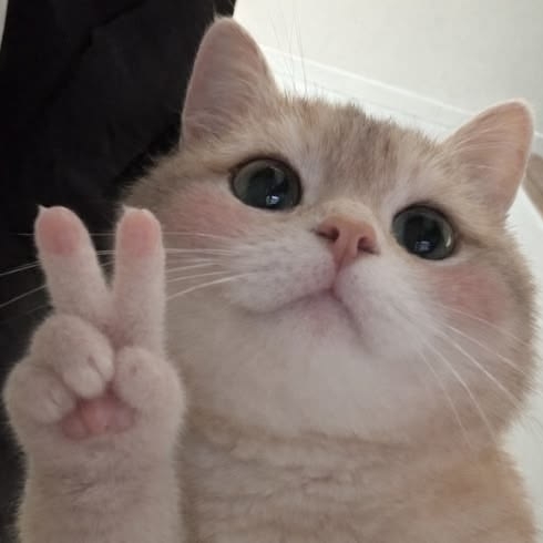 Pic